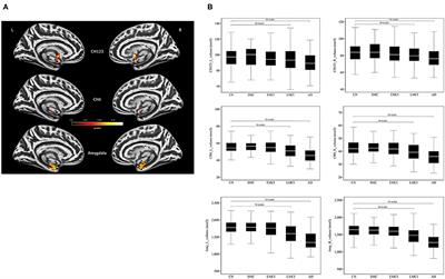 The Effect of the APOE-ε4 Allele on the Cholinergic Circuitry for Subjects With Different Levels of Cognitive Impairment